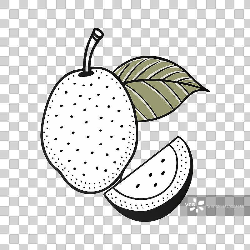 面包果图标 水果图标图片素材