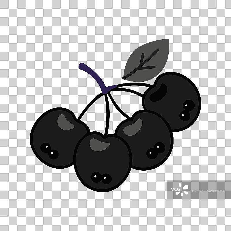 chokeberry 图标 水果 图标图片素材