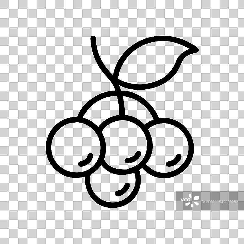 chokeberry 图标 水果 图标图片素材