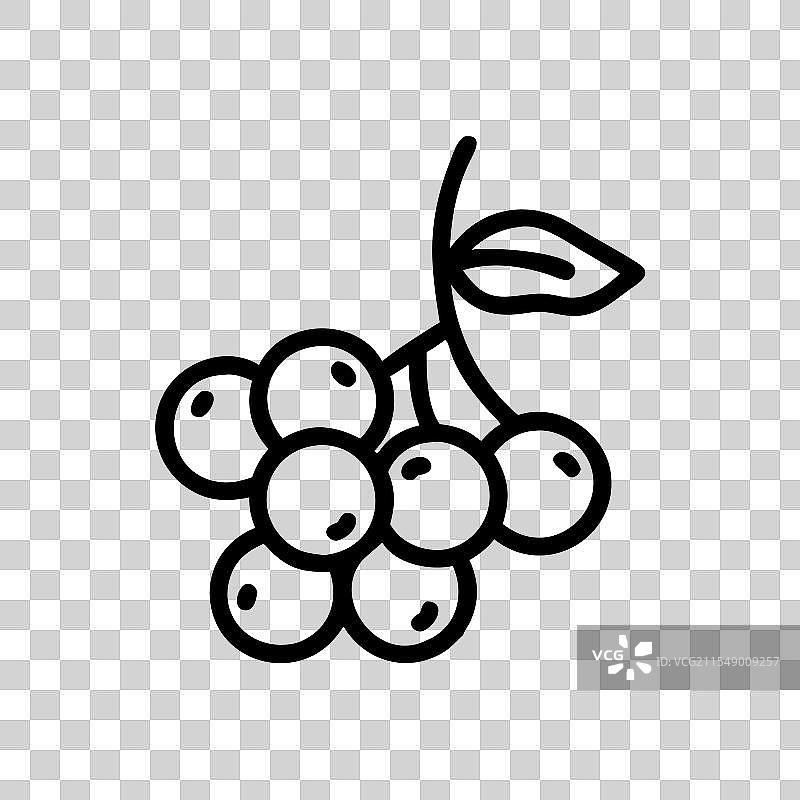 chokeberry 图标 水果 图标图片素材