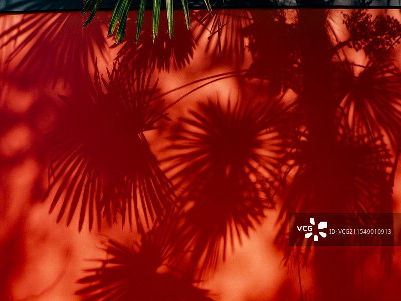 合肥包河公园图片素材