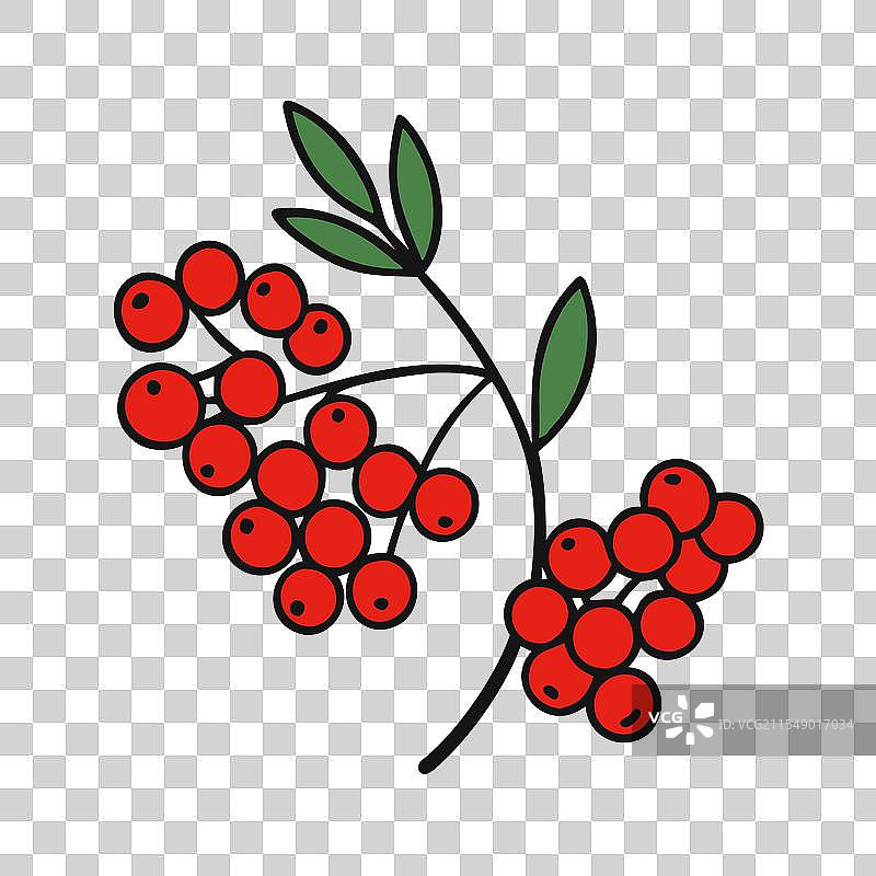 山灰树浆果图标 水果图标图片素材