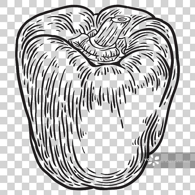 手绘墨水艺术作品集：胡椒系列图片素材