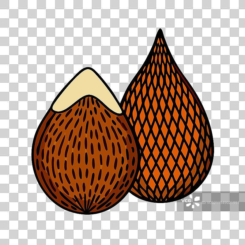 蛇果图标 水果图标图片素材