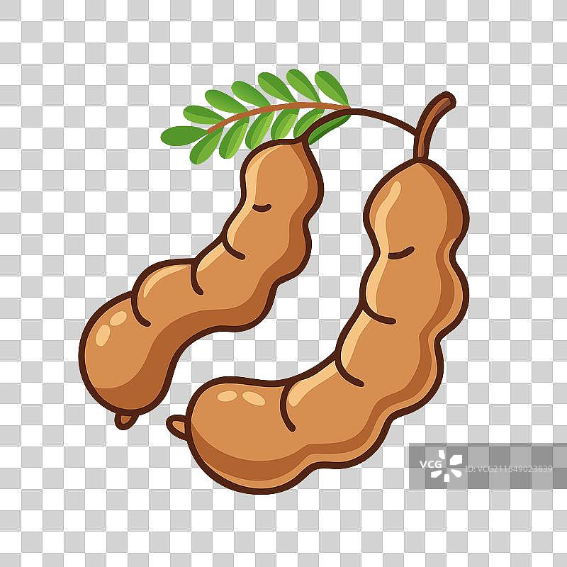 罗望子图标 水果图标图片素材