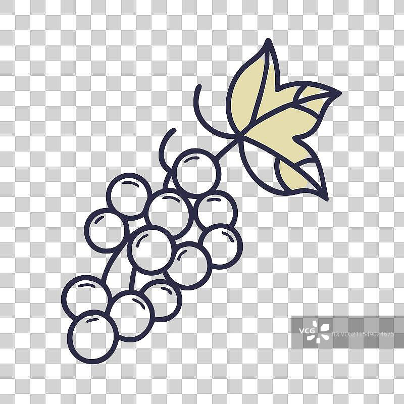 白醋栗图标 水果图标图片素材