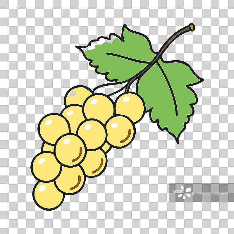 白醋栗图标 水果图标图片素材