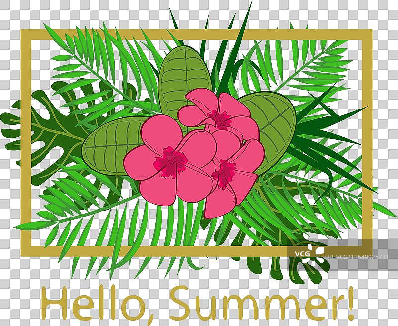 你好，夏天，美丽的热带风光图片素材