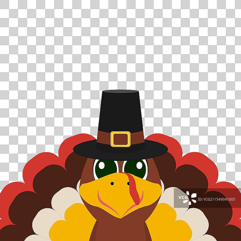 有趣的感恩节火鸡在白色背景上图片素材