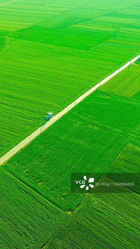 竖屏竖幅航拍绿色田野农田自然风光图片素材