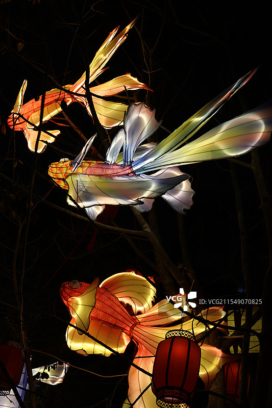 海南海口元宵节府城换花节琼台福地关帝庙花灯灯笼人群热闹图片素材