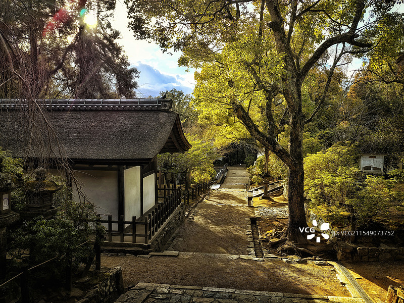 春日大社局部图片素材