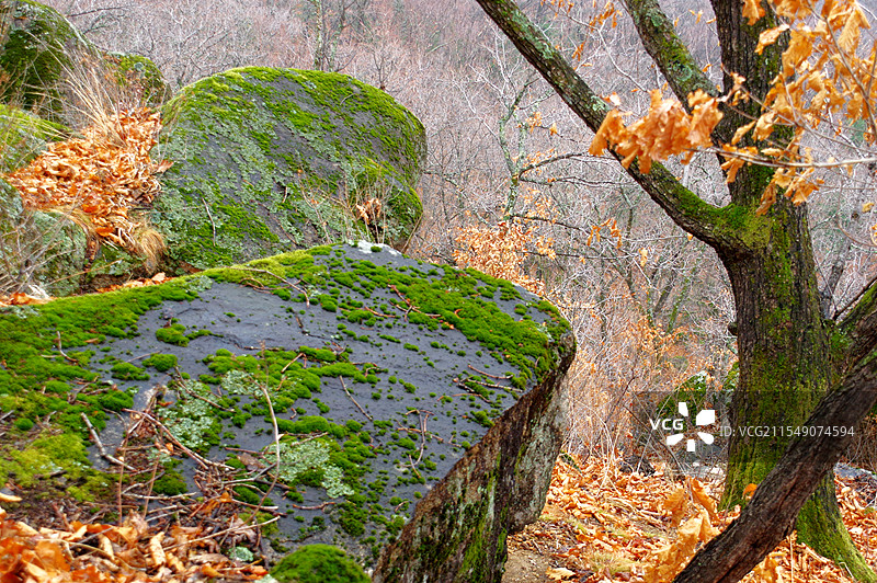 依兰县喇嘛山图片素材