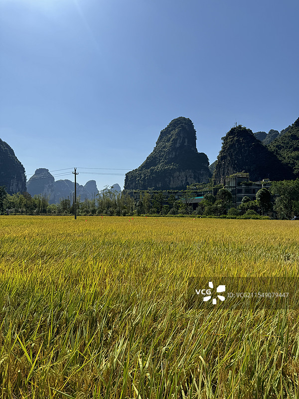 广西崇左明仕田园图片素材