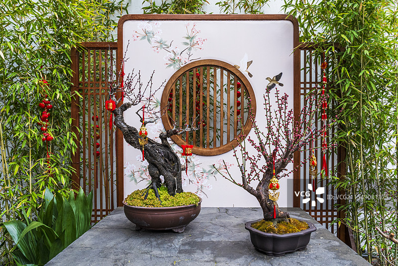 上海豫园盆景造景图片素材
