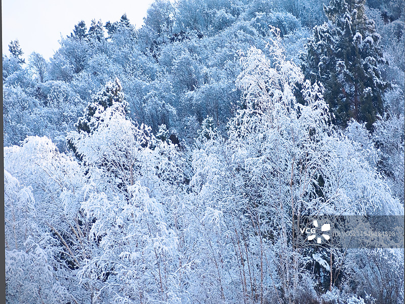 冰雪世界图片素材