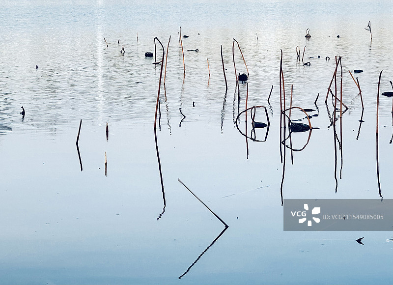 灞河边：城市天际线图片素材