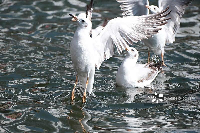 抢占先机图片素材