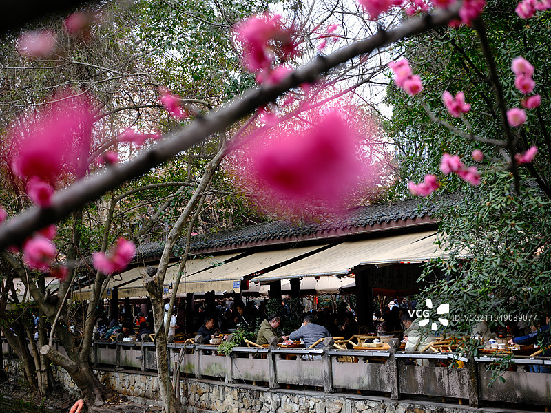 成都人民公园喝茶采耳图片素材