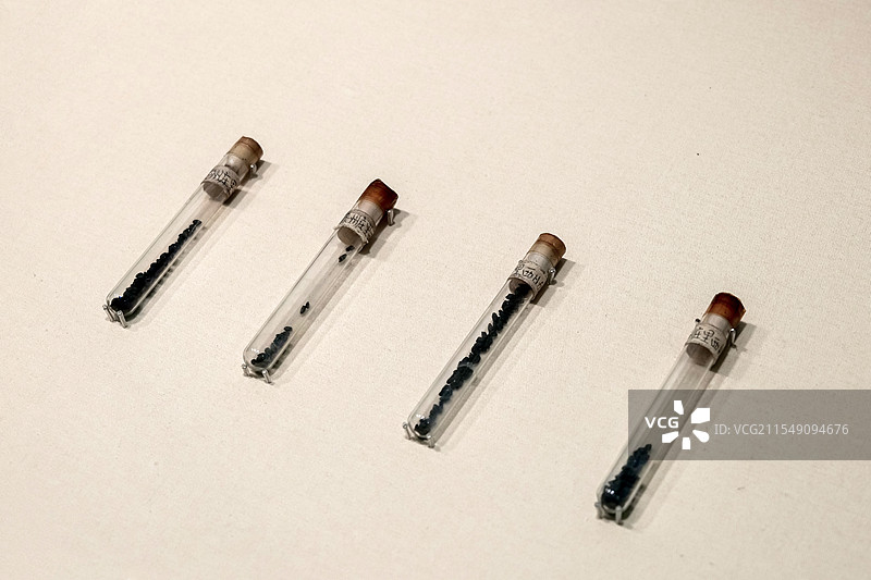 炭化稻 新石器时代龙山文化 滕州庄里西遗址出土 山东省文物考古研究院藏图片素材