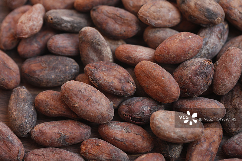 可可豆，很多的，无人，横图图片素材