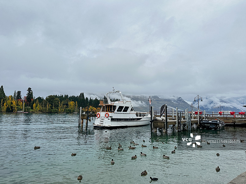 新西兰皇后镇码头秋季风光与野鸭群图片素材