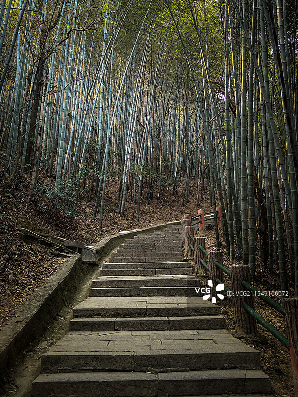 宣城敬亭山通向远处竹林中的山路步道绿色图片素材