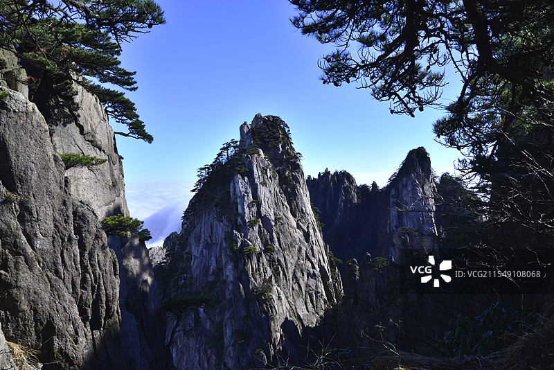 黄山的蓝天奇松秀山特写图片素材