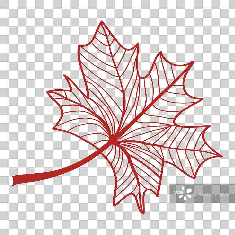 手绘线条艺术红枫树图片素材