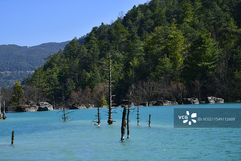 云南丽江，玉龙雪山景区自然旅游资源丰富，主峰扇子陡海拔5596米，是世界上北半球纬度最低、海拔最高的图片素材