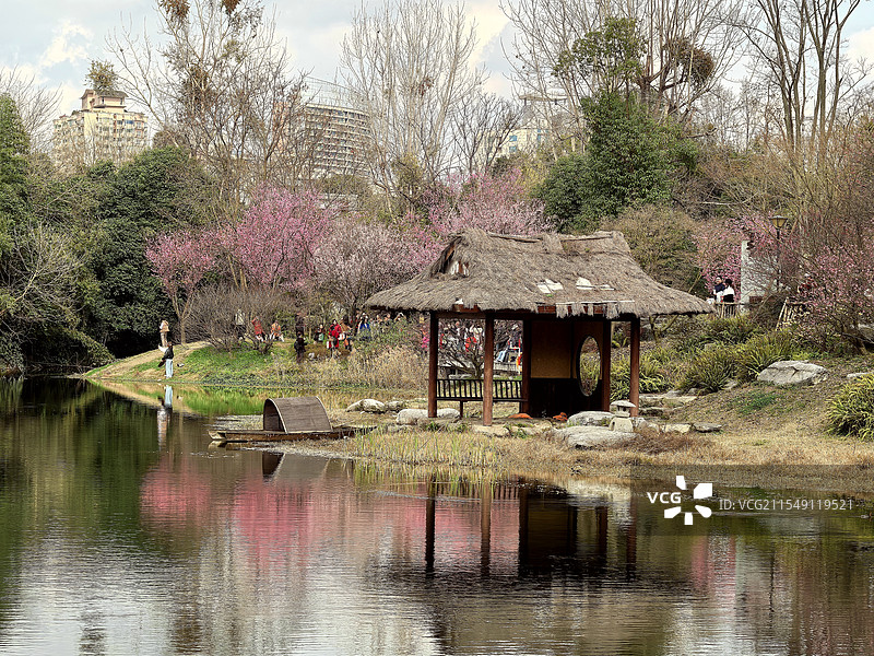 春天的浣花溪公园图片素材