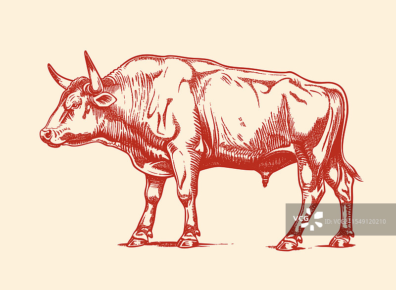 牛肉标签图片素材