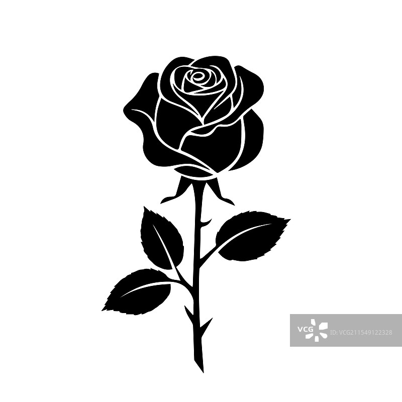 带刺的玫瑰花与叶子图片素材