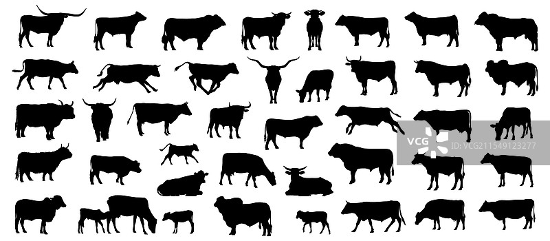 牛的轮廓组合图片素材