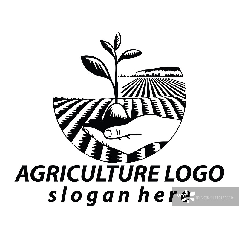 生态友好的绿色自然有机农业图片素材