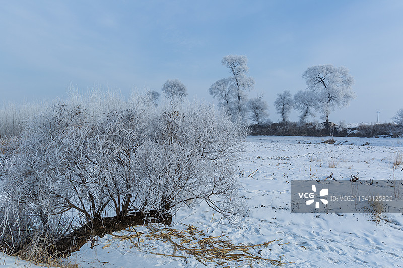 吉林市龙潭区雾凇岛雾松奇观图片素材