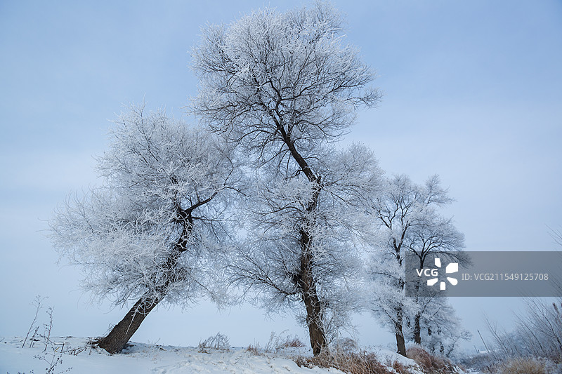 吉林市龙潭区雾凇岛雾松奇观图片素材