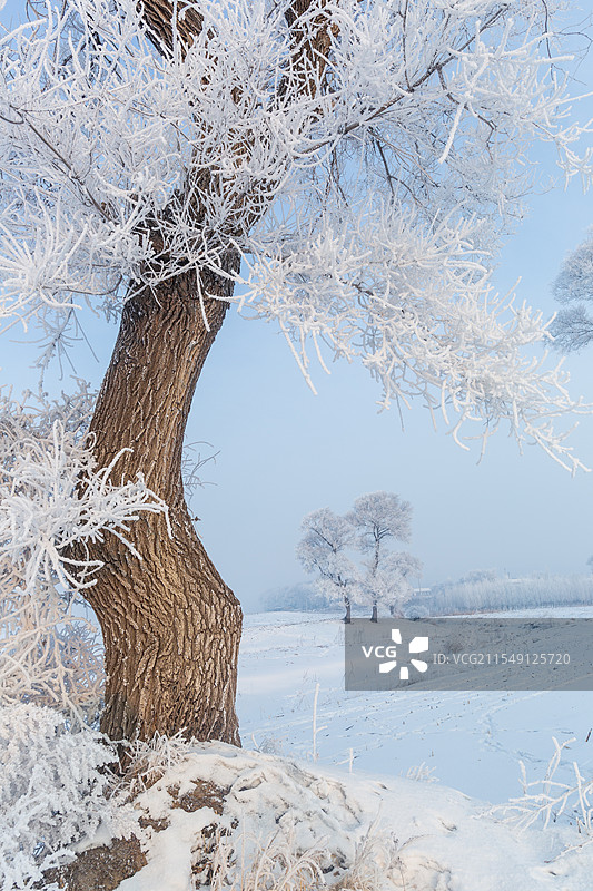 吉林市龙潭区雾凇岛雾松奇观图片素材