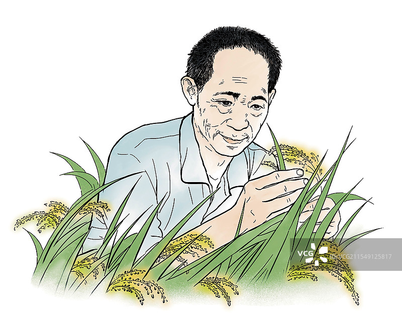 彩色插图 素描 速写 人物画像 肖像 粮食 袁隆平 科学家 水稻图片素材