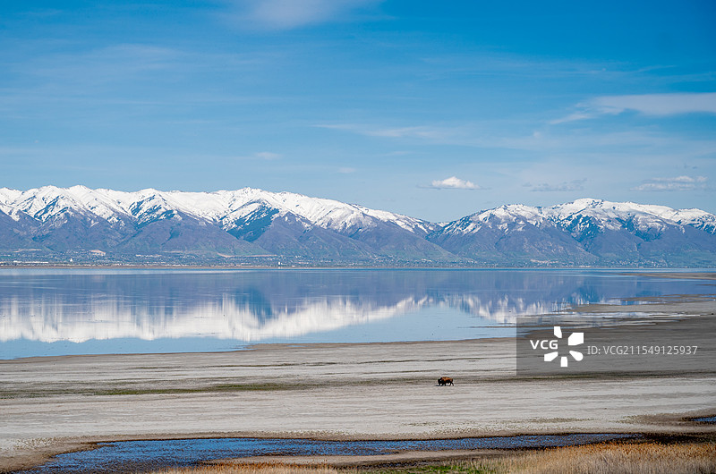 美国犹他州大盐湖与雪山的美景图片素材