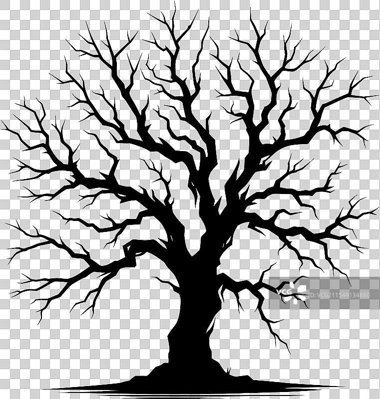 用于万圣节的光秃树轮廓图片素材