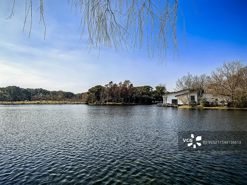 上海共青森林公园春日里宁静的湖景图片素材