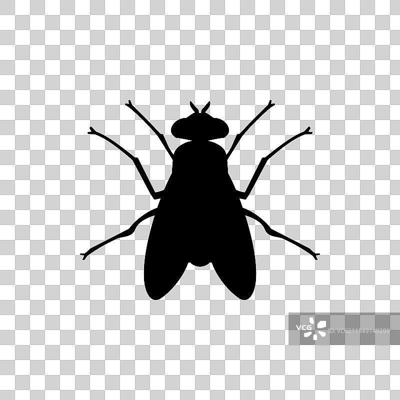 苍蝇图标轮廓或苍蝇轮廓图片素材