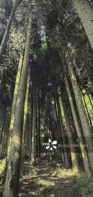 四川绵阳江油乾元山金光洞哪吒太乙洞图片素材