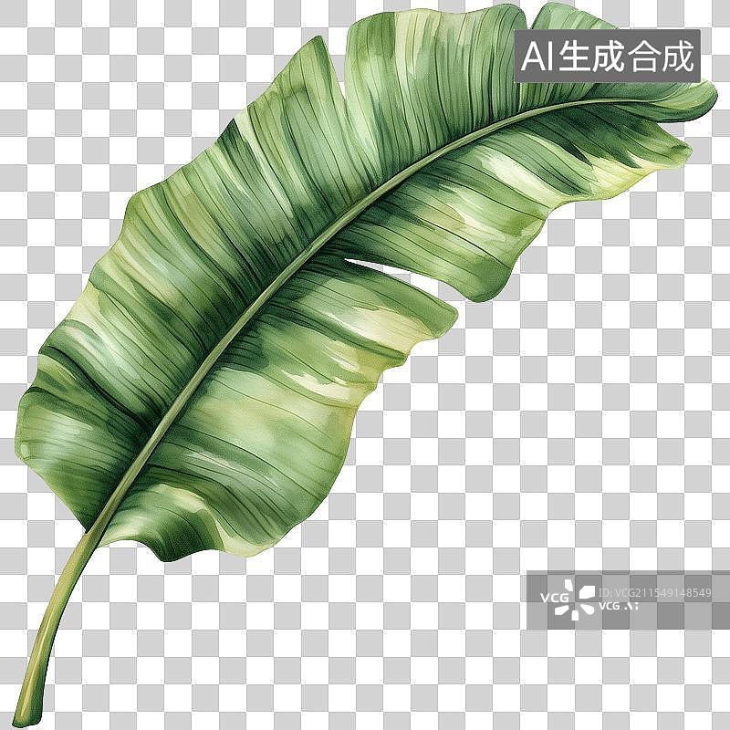 【AI数字艺术】水彩热带绿色叶子图片素材