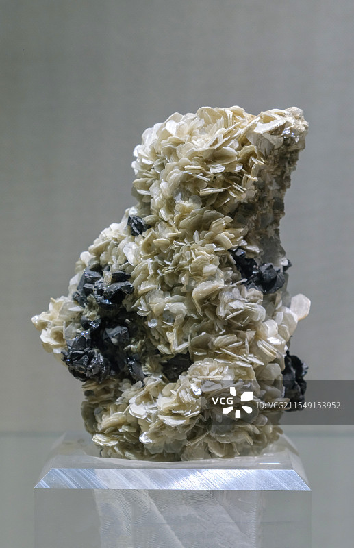 云母、锡石 四川省产 山东地质博物馆图片素材