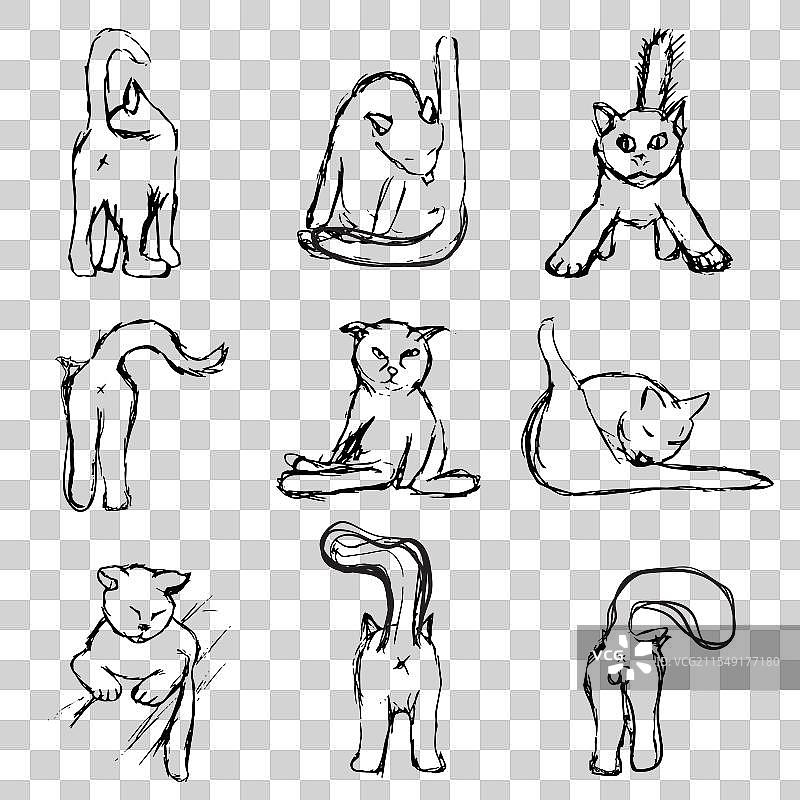 黑白猫图标集合图片素材