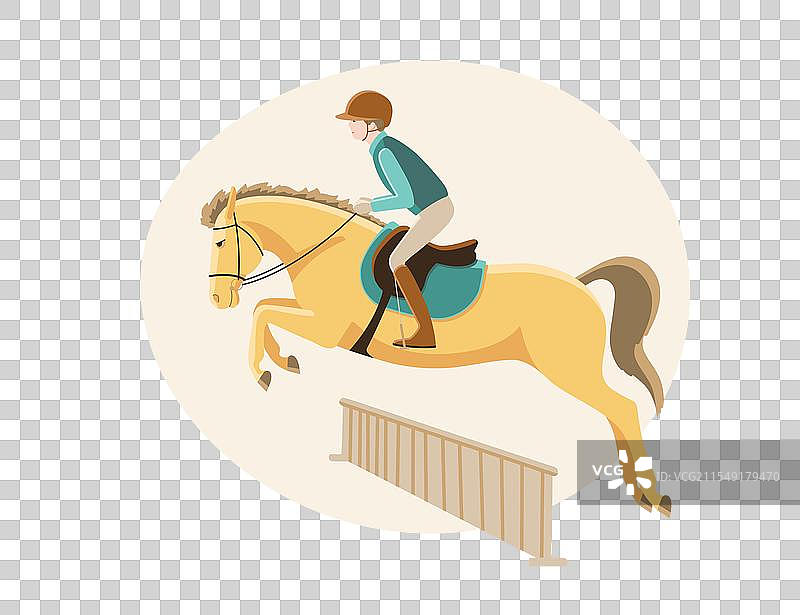 年轻运动员骑着小马跳过障碍栏图片素材