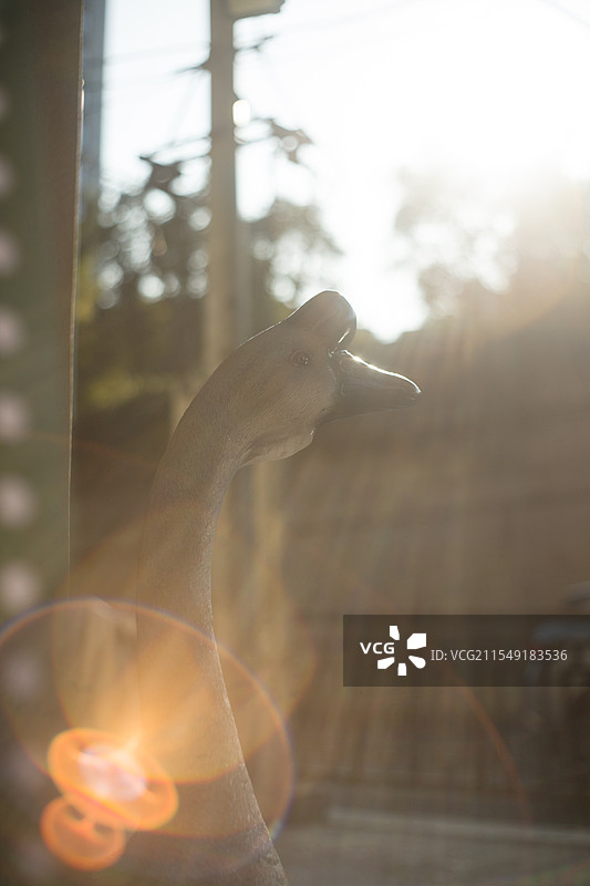 广州解放路夕阳下的逆光图片素材