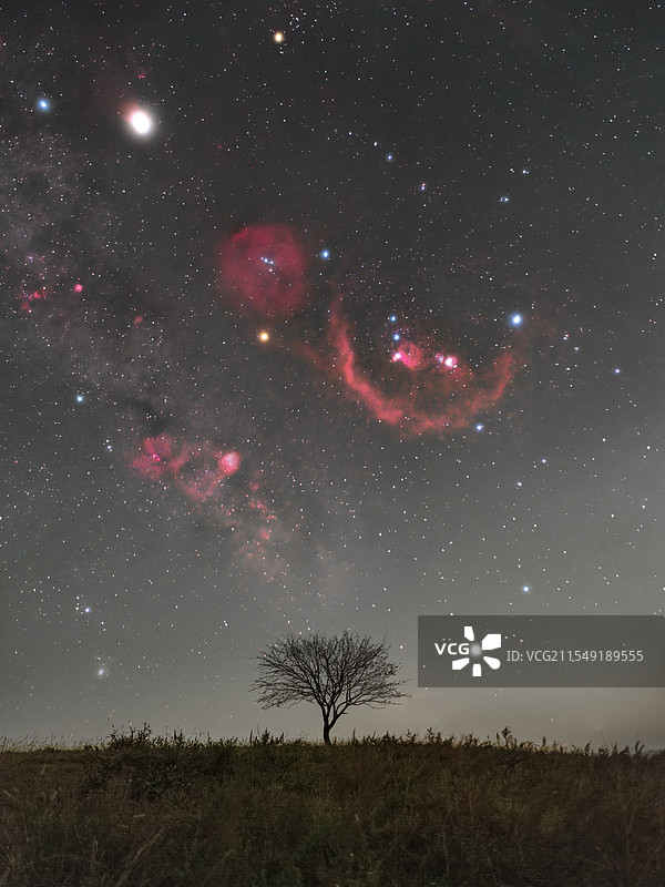 孤独的树与巴纳德环图片素材